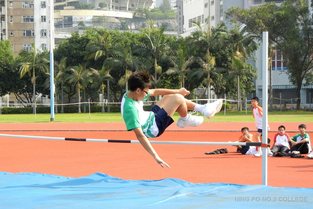 SBS_ (1043)